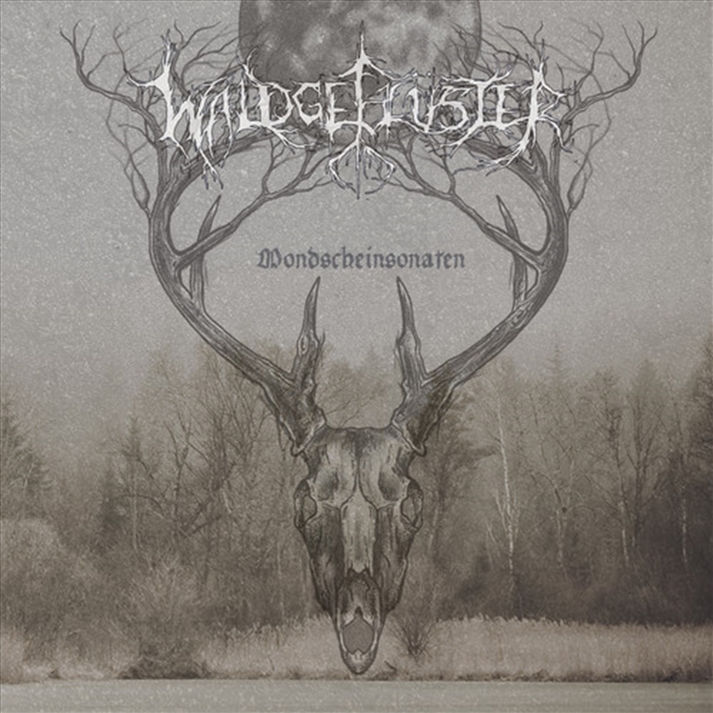 V210-2496209-202507030840-00 Mondscheinsonaten - Waldgefluster Cd Album - Image 1
