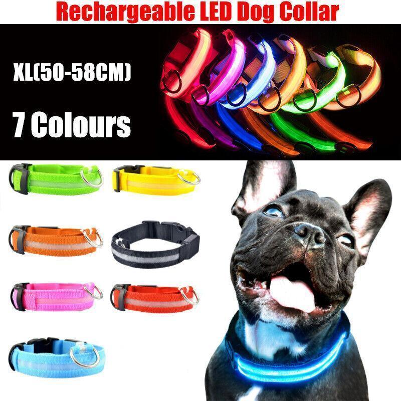 V528-FLASHINGLIGHT-BLUE-L-568013-202509291936-00 XL Size USB Rechargeable LED Dog Collar Nylon Glow Flashing Light Up Gear - Blue - Image 1