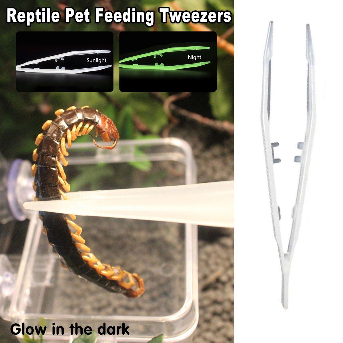 V528-REPTILE-TWEEZERS-LUMINOUS-287045-202509251540-00 18cm Plastic Luminous Tweezer Feeding Tongs Straight for Reptile Feeder White - Image 1