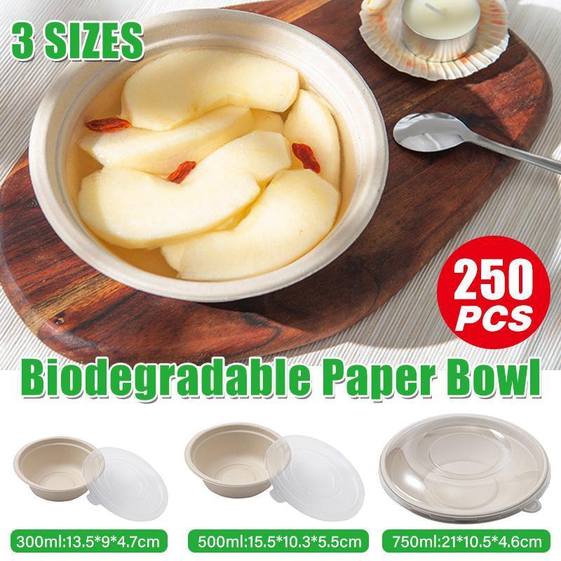 V528-SQ205-ZW-750ML-250PCS-167391-202509301546-00 250PCS Food Preparation Burger Storages Cake Packaging Box Lunch Boxes Primary - Primary 750ml-PET lid - Image 1