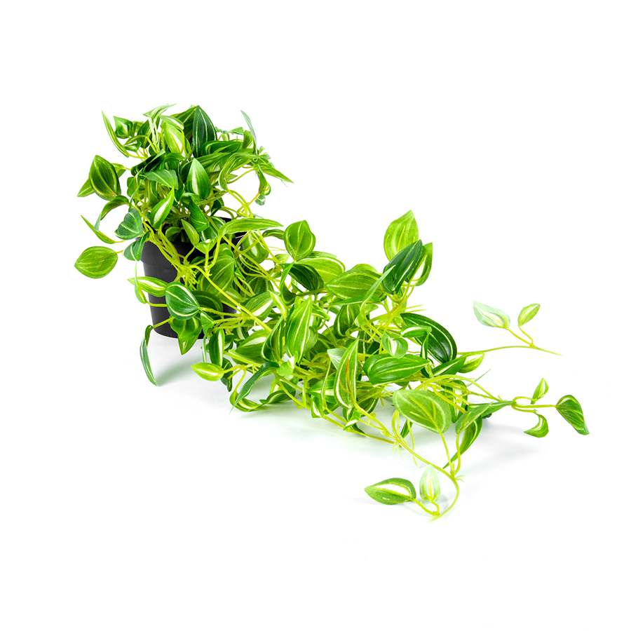 V637-05049HNG-202508251425-00 Potted Hanging Faux Green Weeper 72cm - Image 1