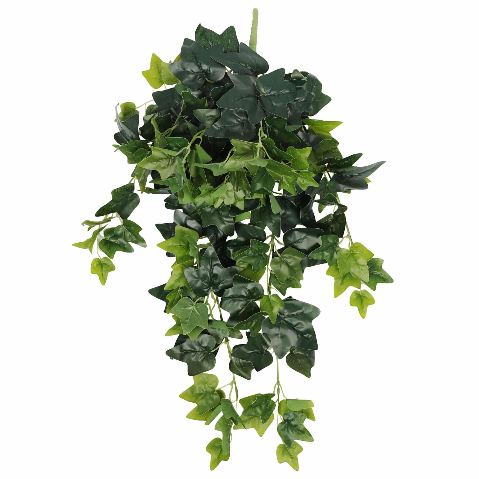 V637-1014528-202508251340-00 Hanging Green Ivy Bush 80cm - Image 1
