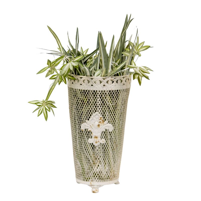 V637-37082VSE-202508251452-00 French Provinicial Dry-Flower Vase w Fleur-De-Lis 33cm - Image 1