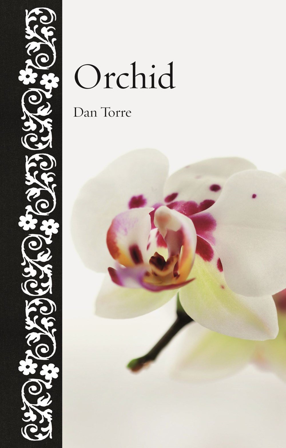 V637-PHOE1587-202508260205-00 Orchid - Image 1