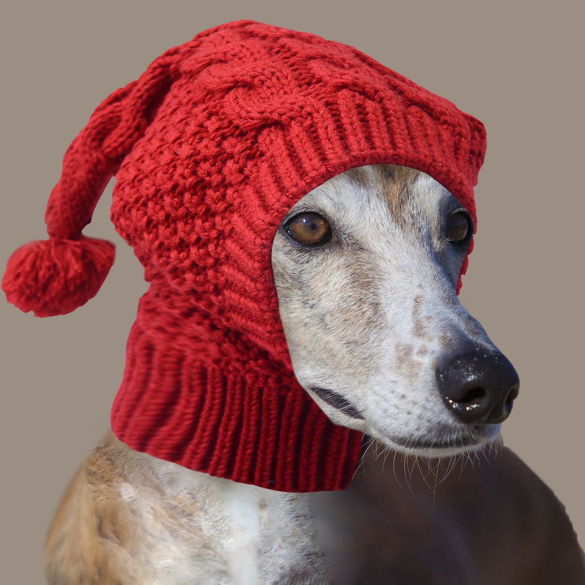 V888-ELOSUNG32781-202507020952-00 Size S Red Whimsical Knit Dog Hat with Pom-Pom - Cozy Winter Pet Beanie & Snood - Image 1