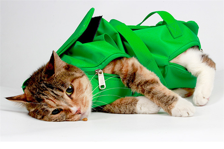 V888-ELOSUNG36365-202509011326-00 Size M Green Multi-Functional Cat Grooming Bag - Anti-Scratch Restraint Pouch for Nail Trimming and Vet Visits - Image 1